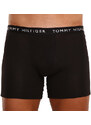 3PACK pánské boxerky Tommy Hilfiger vícebarevné (UM0UM02204 0TG)