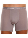 3PACK pánské boxerky Tommy Hilfiger vícebarevné (UM0UM02204 0TG)