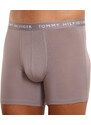 3PACK pánské boxerky Tommy Hilfiger vícebarevné (UM0UM02204 0TG)