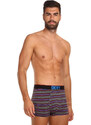 3PACK pánské boxerky DKNY Elkins vícebarevné (U5_6659_DKY_3PKA)