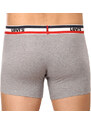 2PACK pánské boxerky Levis vícebarevné (905005001 198)