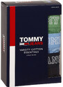 3PACK pánské boxerky Tommy Hilfiger vícebarevné (UM0UM02850 0T2)