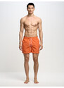 Big Star Man's Swim_shorts Swimsuit 390014 701