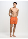 Big Star Man's Swim_shorts Swimsuit 390014 701