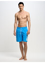 Big Star Man's Swim_shorts Swimsuit 390015 401