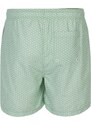 SoulCal Signature Swimshorts Mens Green/White