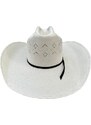 Pro Hats ProHats "STRAW PH45"