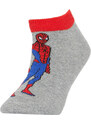 DEFACTO Boy Marvel Spiderman Licensed Cotton 3 Pack Short Socks