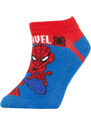 DEFACTO Boy Marvel Spiderman Licensed Cotton 3 Pack Short Socks