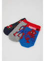 DEFACTO Boy Marvel Spiderman Licensed Cotton 3 Pack Short Socks