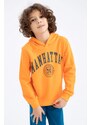 DEFACTO Boys Regular Fit Hoodie Sweatshirt