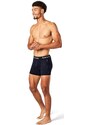 Pánské boxerky Smartwool M Merino Hemp Blend Boxer Brief