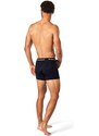 Pánské boxerky Smartwool M Merino Hemp Blend Boxer Brief