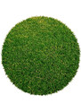 Betap koberce Umělá tráva Botanic kruh - 200x200 (průměr) kruh cm