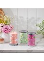 Yankee Candle vonná svíčka Signature Tumbler ve skle velká Art in the park 567g