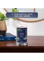 Yankee Candle vonná svíčka Signature Tumbler ve skle velká Lakefront Lodge 567g