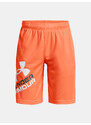 Kraťasy Under Armour UA Prototype 2.0 Logo Shorts-ORG - Kluci