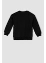 DEFACTO Relax Fit Crew Neck Sweatshirt