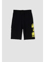 DEFACTO Regular Fit Short