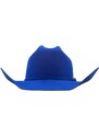 Pro Hats ProHats "TEXAS BLUE"