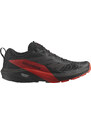 Trailové boty Salomon SENSE RIDE 5 l47214300