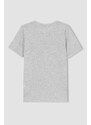 DEFACTO Boy Regular Fit Crew Neck Printed Short Sleeve T-Shirt