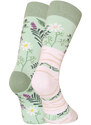 Veselé ponožky Dedoles Bylinky (GMRS138)