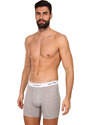 3PACK pánské boxerky Calvin Klein vícebarevné (NB2381A-MP1)