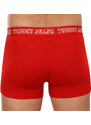 3PACK pánské boxerky Tommy Hilfiger vícebarevné (UM0UM02850 0T6)