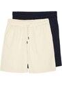 Trendyol Navy Blue-Stone Basic Regular/Normal Cut 2-Pack Shorts