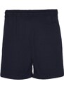 Trendyol Navy Blue-Stone Basic Regular/Normal Cut 2-Pack Shorts