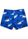 Yoclub Kids's Boys' Swimming Shorts LKS-0059C-A100