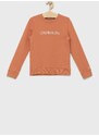 Dětská bavlněná mikina Calvin Klein Jeans oranžová barva, s potiskem