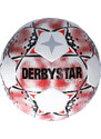 Míč Derbystar UNITED S-Light 290g v23 1399-132