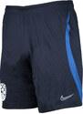 Šortky Nike M NK DF STRK SHORT K SLOVENIA nzsdh8776-451