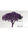 Heeley Parfums Cologne Officinale