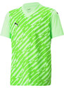 Dres Puma teamULTIMATE Jersey Junior 705656-20