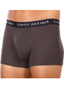 3PACK pánské boxerky Tommy Hilfiger vícebarevné (UM0UM02203 0XX)