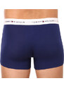 3PACK pánské boxerky Tommy Hilfiger vícebarevné (UM0UM02761 0TF)