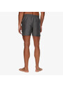 Nike 5\" Volley Short