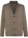 Trendyol Mink Regular Fit Collar Knitwear Cardigan