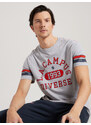 Diverse Men's printed T-shirt LA CAMPUS 01