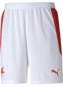 Puma SKS Home Shorts Promo