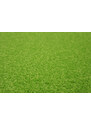 Vopi koberce Kusový koberec Eton zelený 41 kruh - 57x57 (průměr) kruh cm