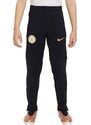Kalhoty Nike CFC Y NK DF STRK PANT KPZ fj4582-426