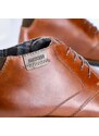 Pánská kotníková obuv RIEKER 10301-24 hnědá