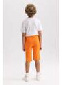 DEFACTO Boy Regular Fit Fabric Shorts