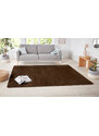 Hanse Home Collection koberce Kusový koberec Nasty 101154 Braun - 80x150 cm