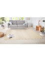 Hanse Home Collection koberce Kusový koberec Nasty 101152 Creme - 67x120 cm