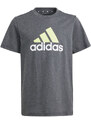 Tričko adidas Big Logo Tee Jr IJ6286